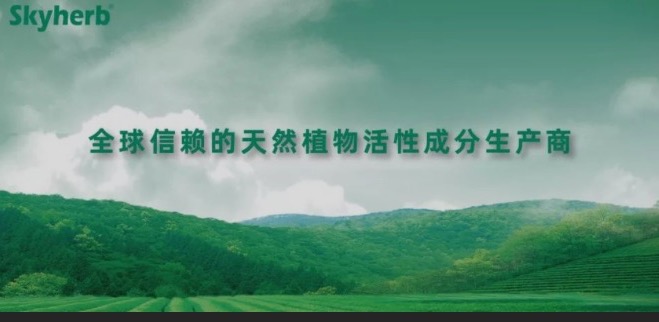 多年不懈努力，終獲官方青睞！